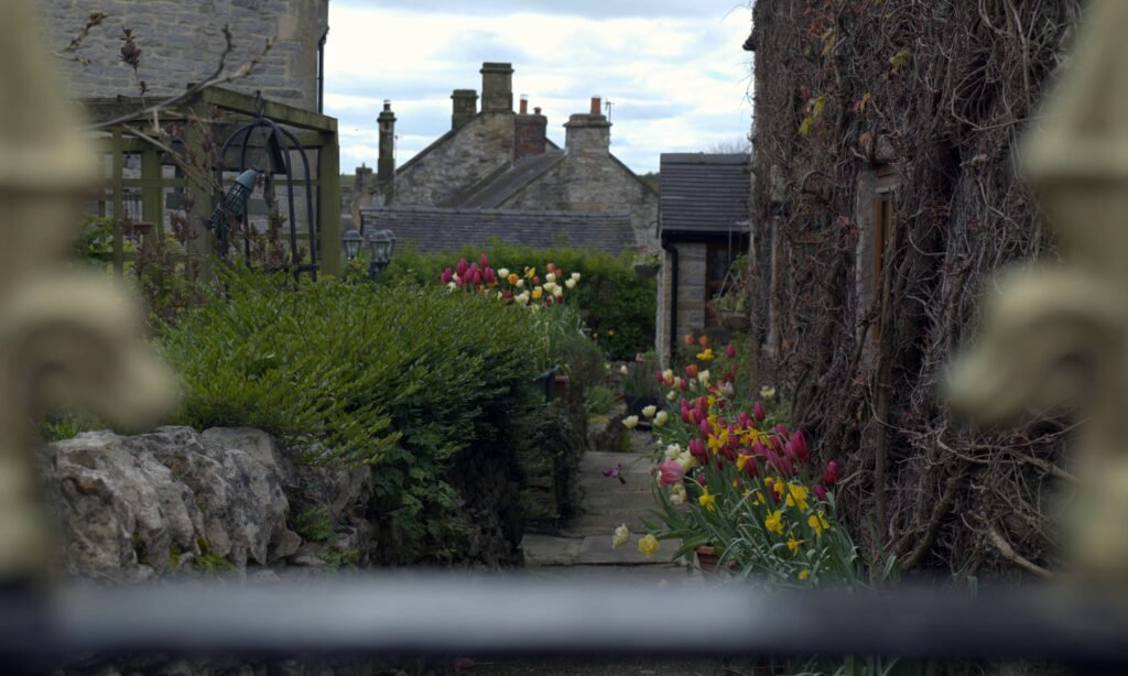 Garden edit 1