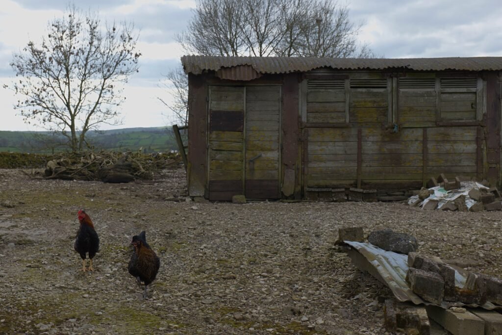 North Pennine Countryside 1